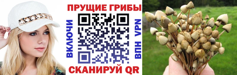 Псилоцибиновые грибы мицелий  Североуральск 